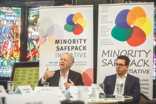 UN recommendations on minority education include the Minority SafePack